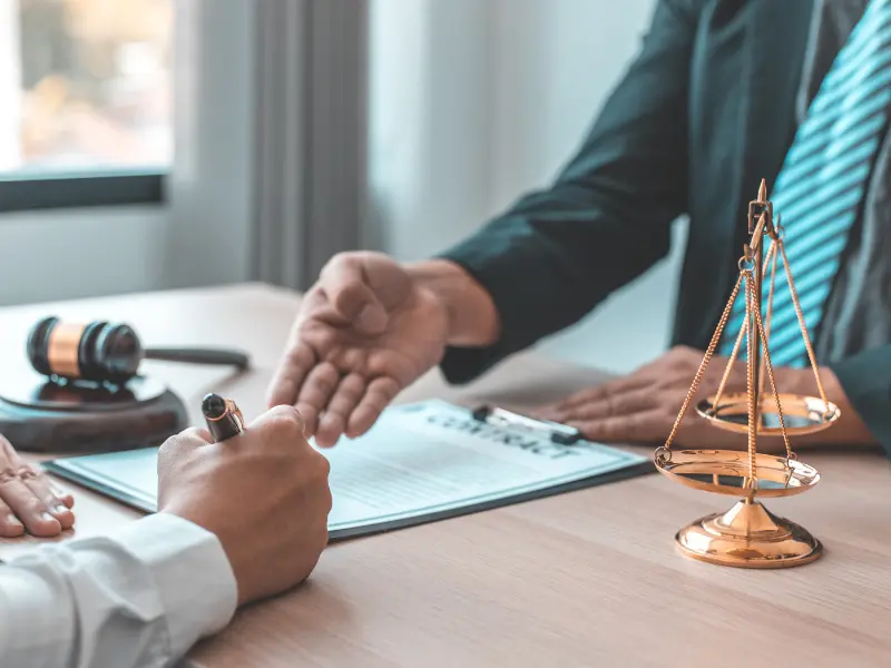 paternity law